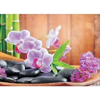 Orchidea poszter, fotótapéta (104 x 70,5 cm)