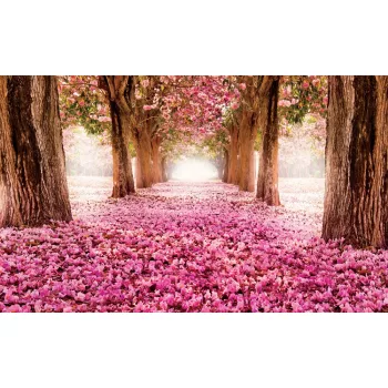 Pink alley poszter, fotótapéta