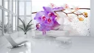 Orchidea poszter, fotótapéta