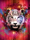 Tigris vlies poszter, fotótapéta (206 x 275 cm)