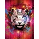 Tigris vlies poszter, fotótapéta (206 x 275 cm)