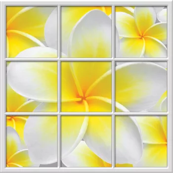   Kazettás virágos vlies poszter, fotótapéta (312 X 312 cm)