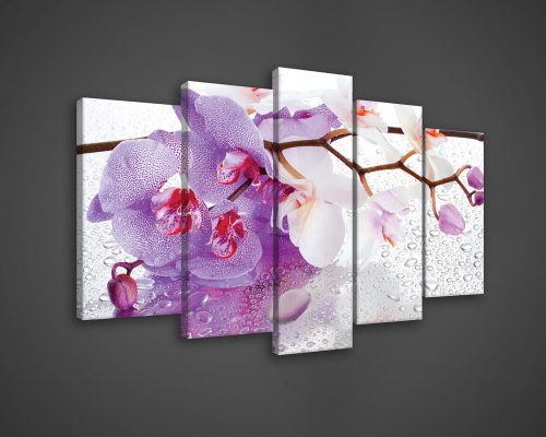Vászonkép 5 darabos, Orchidea 100x60 cm méretben