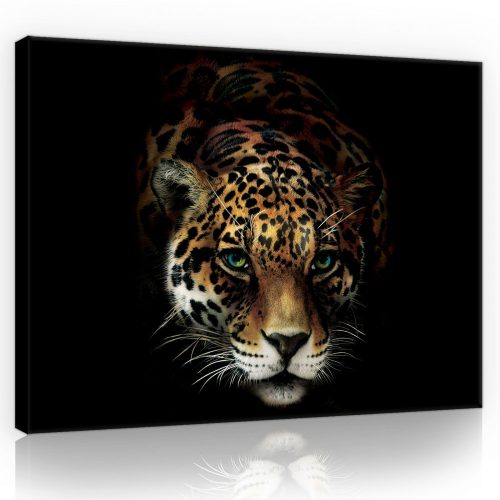 Jaguár, vászonkép, 60x40 cm méretben