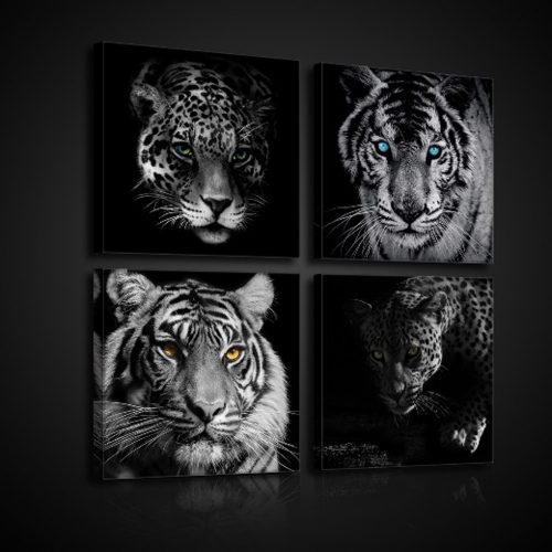 Vászonkép 4 darabos, Tigrisek 50x50 cm méretben