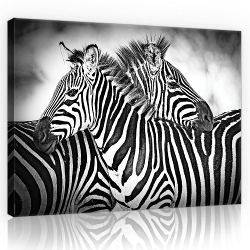 Zebrák, vászonkép, 60x40 cm méretben