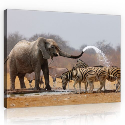 Vászonkép, Elefánt és zebrák, 100x75 cm méretben