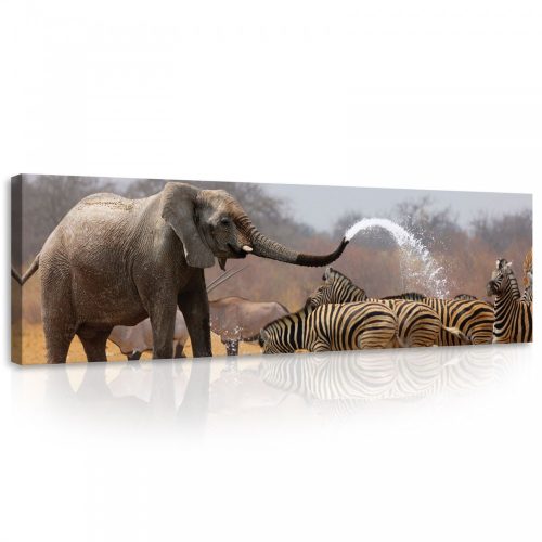 Zebrák, elefánt, vászonkép, 145x45 cm méretben