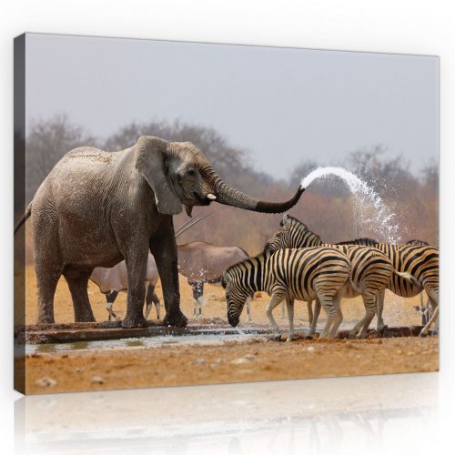 Elefánt és zebrák, vászonkép, 60x40 cm méretben