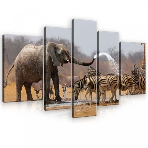 Vászonkép, 5 darabos, Elefánt és zebrák 170x100 cm méretben