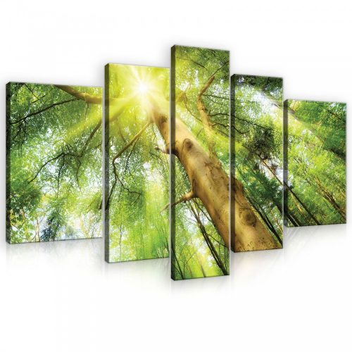 Vászonkép, 5 darabos, Napsütéses erdő 170x100 cm méretben