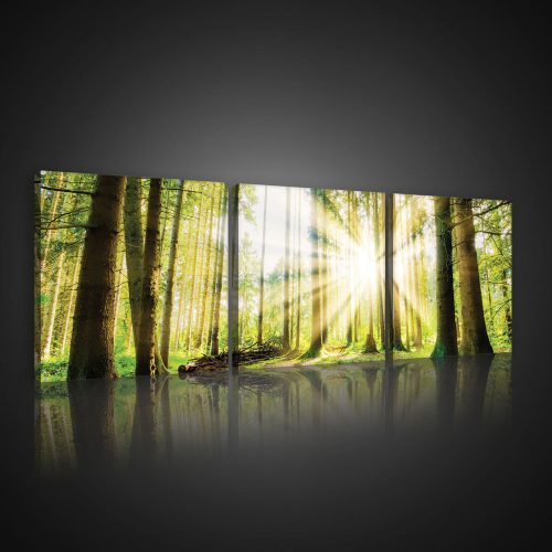Vászonkép 3 darabos, Napos erdő, 3 db 25x25 cm méret