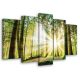 Vászonkép 5 darabos Erdő a napsütésben 100x60 cm méretben