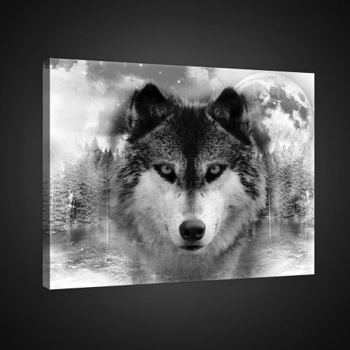 Farkas, vászonkép, 60x40 cm méretben