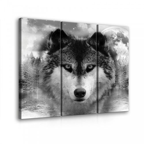 Farkas, 3 darabos vászonkép, 90x80 cm méretben