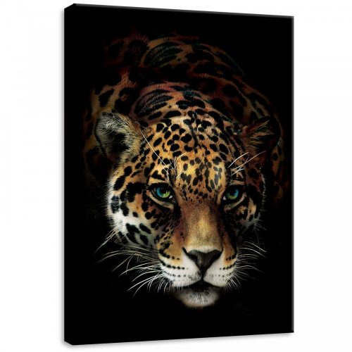 Tigris, vászonkép, 50x70 cm méretben