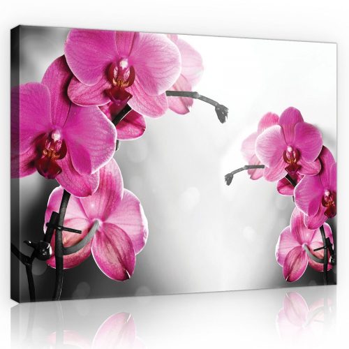 Vászonkép, Orchideák, 100x75 cm méretben