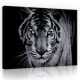 Tigris, vászonkép, 60x40 cm méretben