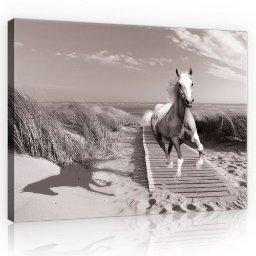 Vászonkép, Ló a tengerparti mólón  80x60 cm méretben