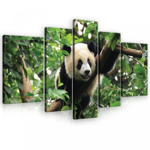 Vászonkép, 5 darabos, Panda 170x100 cm méretben