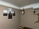 Vászonkép 3 darabos, Szarvas 130x80 cm méretben