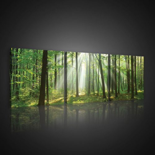 Vászonkép 3 darabos, Napsütéses erdő, 3 db 25x25 cm méret