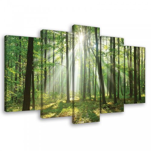 Vászonkép 5 darabos  Nyári erdő a napsütésben 100x60 cm méretben