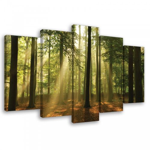 Vászonkép 5 darabos Erdő a napsütésben 100x60 cm méretben