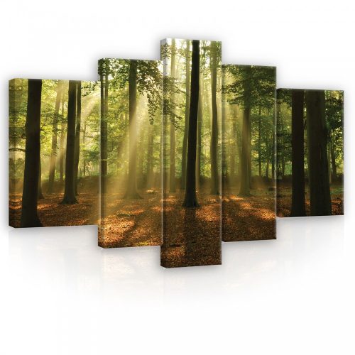 Vászonkép, 5 darabos, Erdő napsugarakkal 170x100 cm méretben