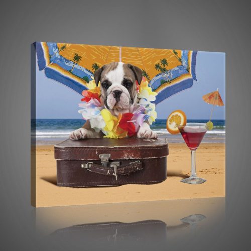 Vászonkép, Kutya a strandon 80x60 cm méretben