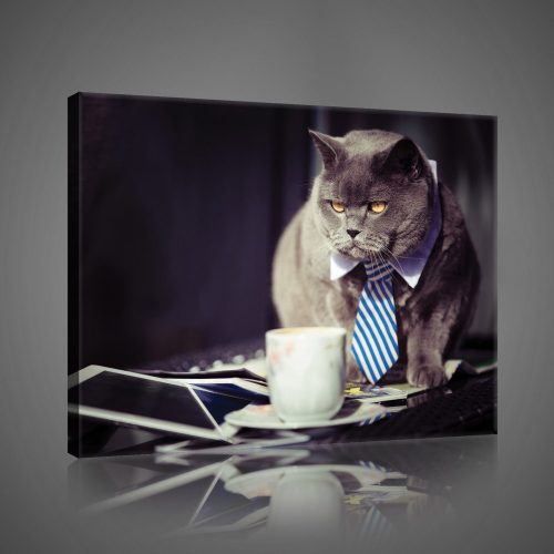 Nyakkendős macska, vászonkép, 60x40 cm méretben