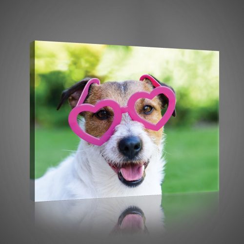 Szemüveges kutya, vászonkép, 60x40 cm méretben