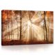 Napos őszi erdő, vászonkép, 60x40 cm méretben