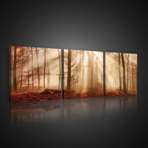Vászonkép 3 darabos, Őszi erdő, 3 db 25x25 cm méret