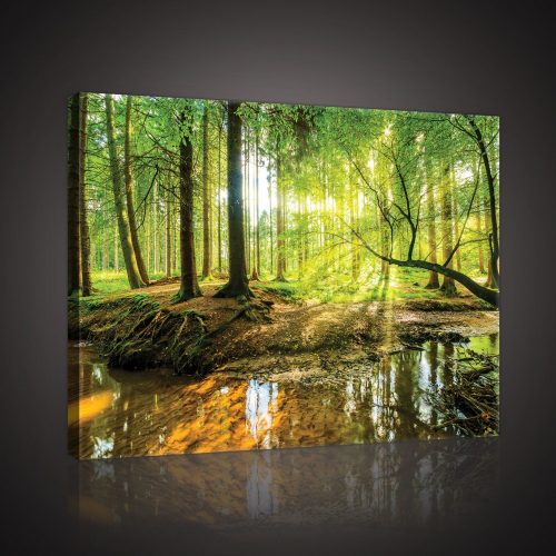 Napos erdő patakkal, vászonkép, 60x40 cm méretben