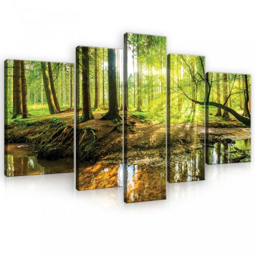 Vászonkép, 5 darabos, Napos erdő patakkal 170x100 cm méretben