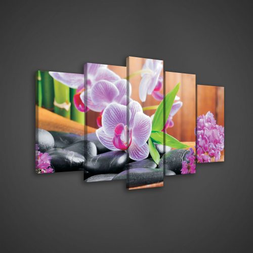Vászonkép 5 darabos, Orchidea 100x60 cm méretben