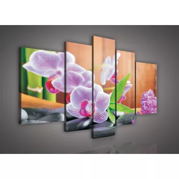 Vászonkép, 5 darabos, Orchidea zen 170x100 cm méretben