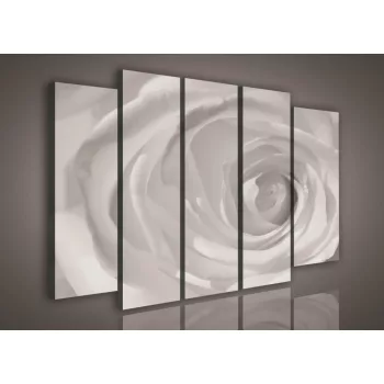   Vászonkép, 5 darabos Rózsa fekete-fehér 150x100 cm méretben