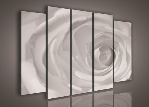 Vászonkép, 5 darabos Rózsa fekete-fehér 150x100 cm méretben