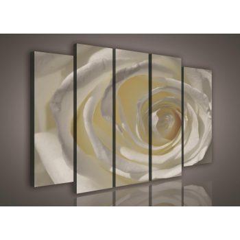 Vászonkép, 5 darabos Rózsa 150x100 cm méretben