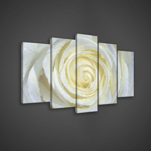 Vászonkép 5 darabos, Rózsa 100x60 cm méretben