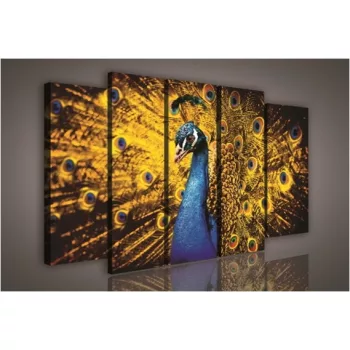 Vászonkép, 5 darabos Páva 150x100 cm méretben