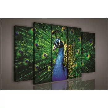 Vászonkép, 5 darabos Páva 150x100 cm méretben