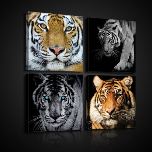 Vászonkép 4 darabos, Tigrisek 50x50 cm méretben