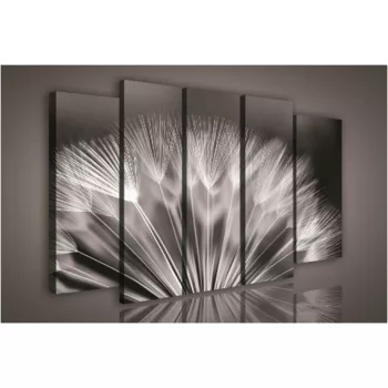 Vászonkép, 5 darabos Pitypang 150x100 cm méretben