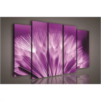 Vászonkép, 5 darabos Pitypang 150x100 cm méretben