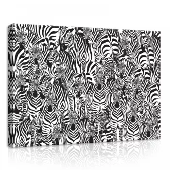 Zebrák, vászonkép, 70x50 cm méretben