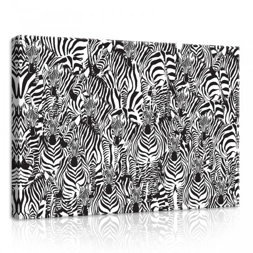 Zebrák, vászonkép, 70x50 cm méretben