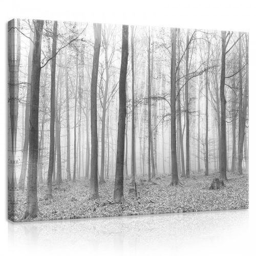 Vászonkép, Erdő fekete-fehér, 100x75 cm méretben